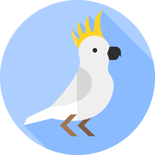 Cockatoo Flat Circular Flat icon