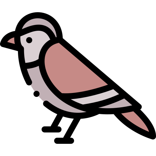 pássaro grátis ícone