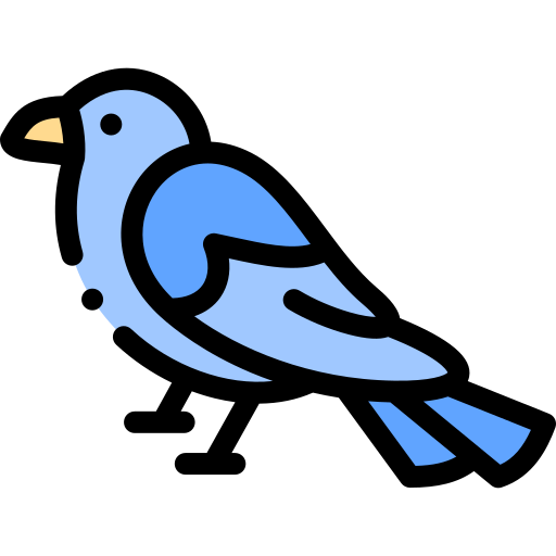 pássaro grátis ícone