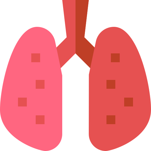 Lungs - free icon