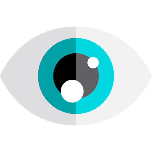 Vision - free icon