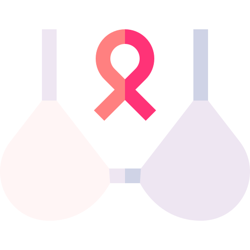 Bra free icon