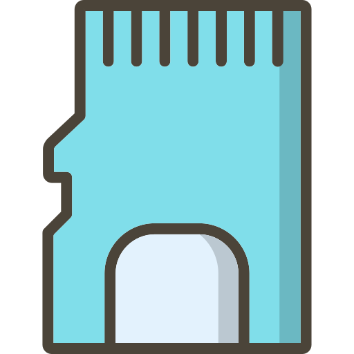 carte mémoire Icône gratuit