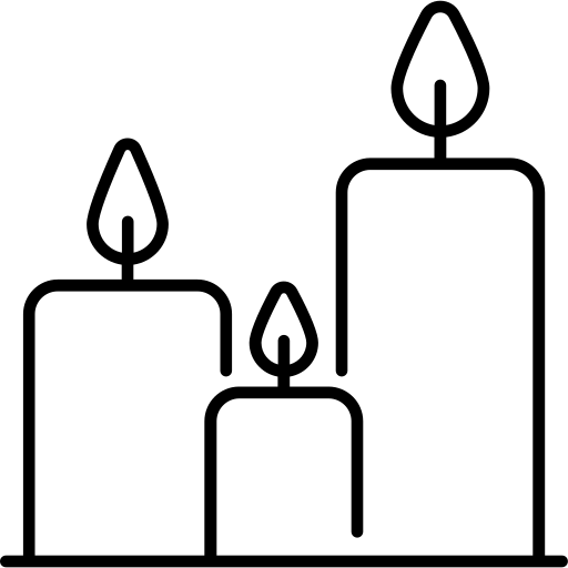 No Insects