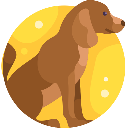 perro icono gratis