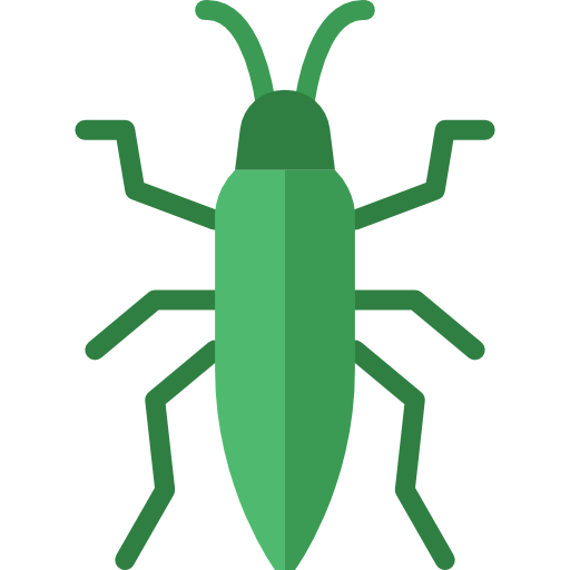 Bedbug free icon Bedbug free icon