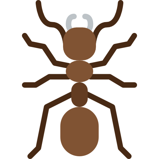 Ant Basic Miscellany Flat icon