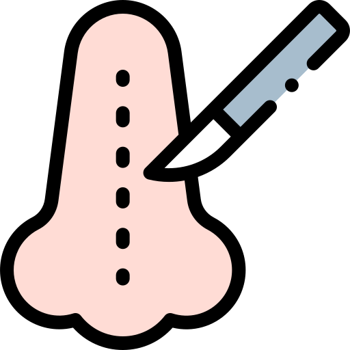 nasenkorrektur kostenlos Icon nasenkorrektur kostenlos Icon
