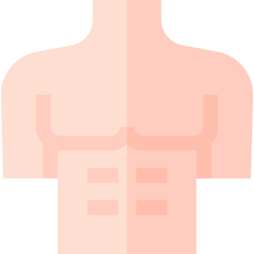 abdominales icono gratis