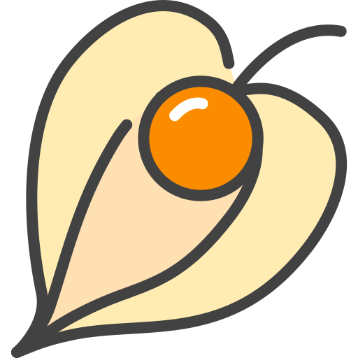 physalis Icône gratuit