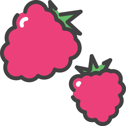 Raspberry free icon
