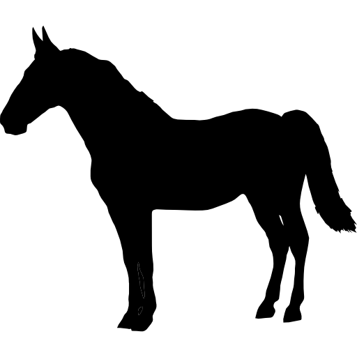 forma de caballo negro de pie mirando hacia la izquierda icono gratis
