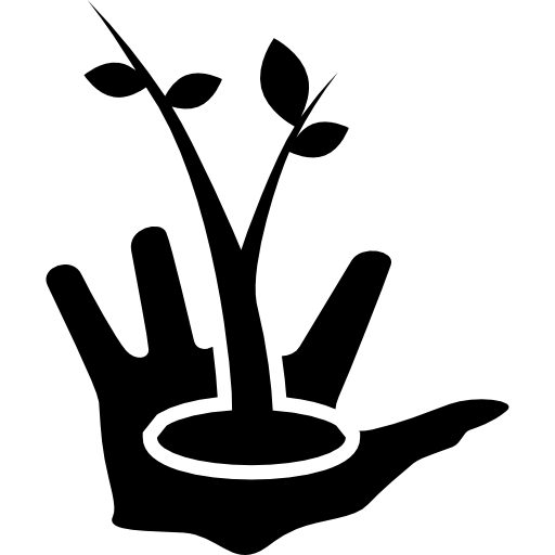 growing plant in hand