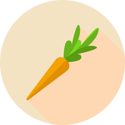 Healthy Food Flat Circular Flat Icon