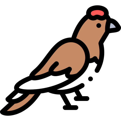 weidenschneehuhn kostenlos Icon weidenschneehuhn kostenlos Icon