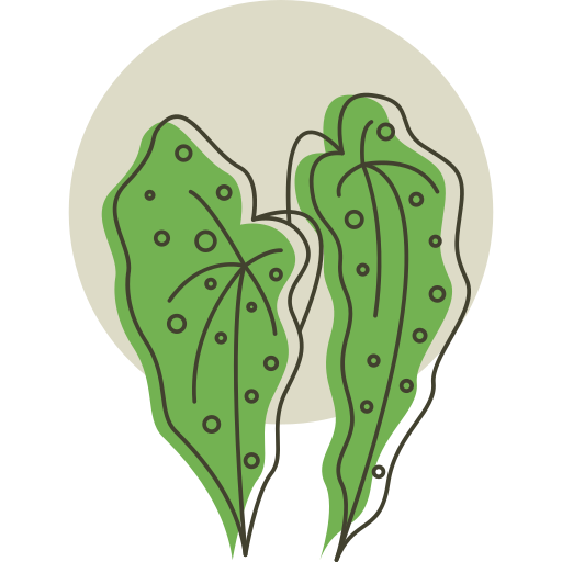 plantar grátis ícone plantar grátis ícone