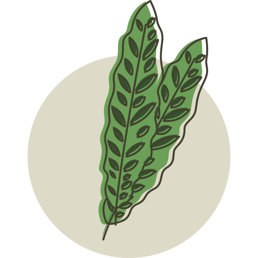 plantar grátis ícone plantar grátis ícone