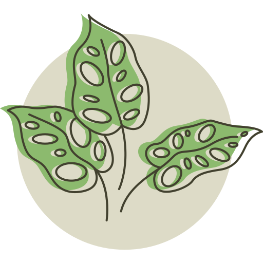 plantar grátis ícone