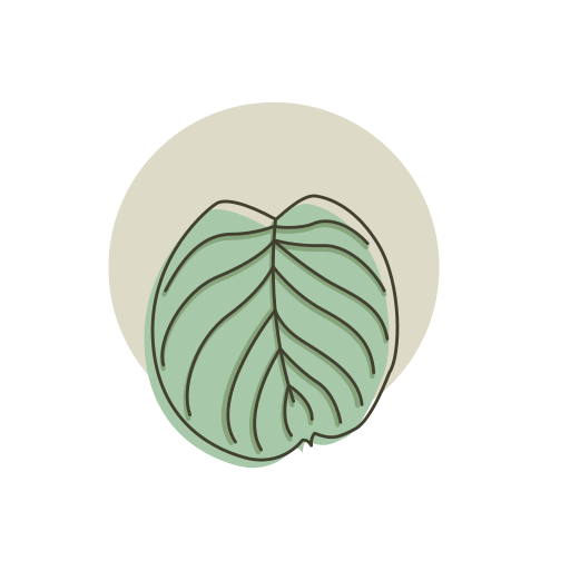 plantar grátis ícone plantar grátis ícone