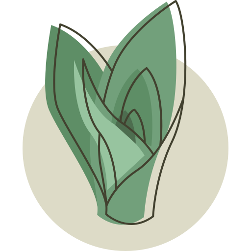 식물 무료 아이콘 식물 무료 아이콘