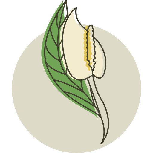 plantar grátis ícone plantar grátis ícone