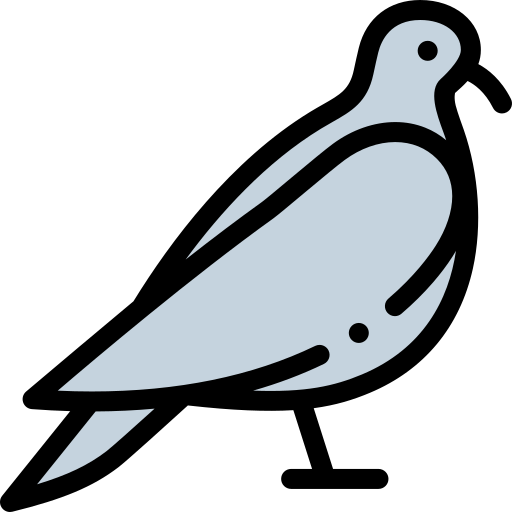 taube kostenlos Icon taube kostenlos Icon