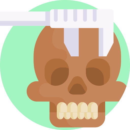 Anthropology free icon