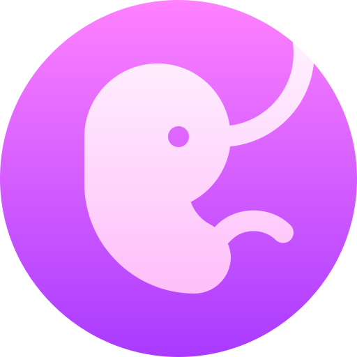 fötus kostenlos Icon