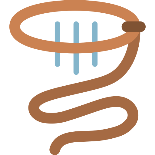 Lasso free icon Lasso free icon