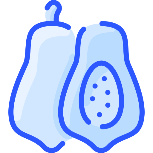 papaye Icône gratuit papaye Icône gratuit