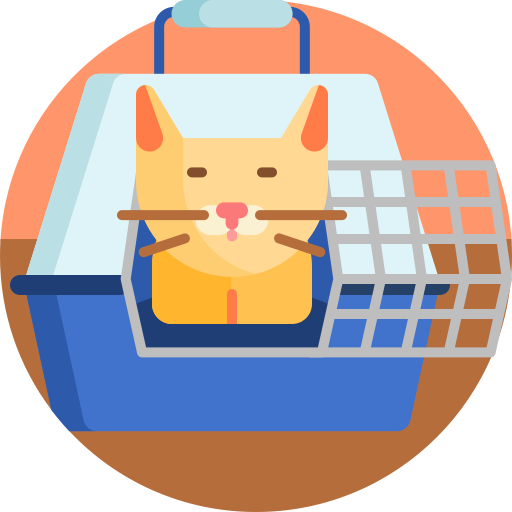 gato icono gratis