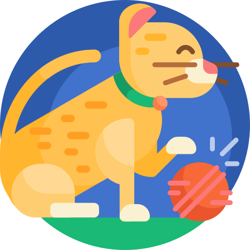 gato icono gratis