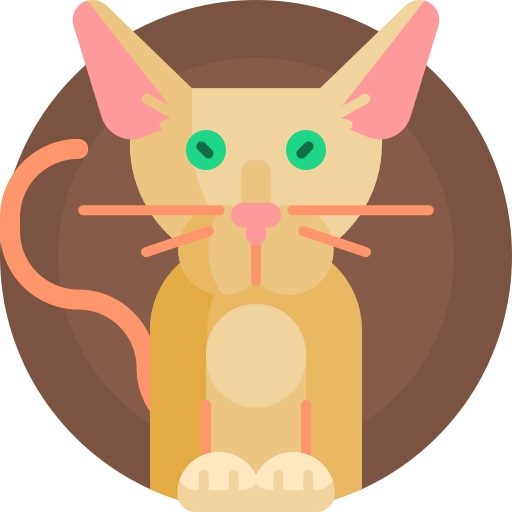 Oriental cat - Free animals icons