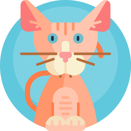 Cat Detailed Rounded Lineal color icon