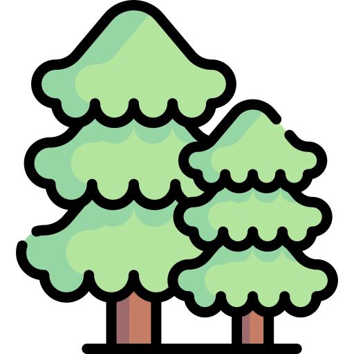 Forest Special Lineal color icon