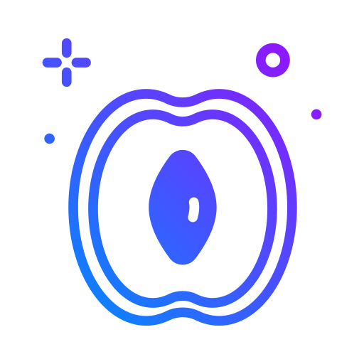 Абрикос бесплатно иконка