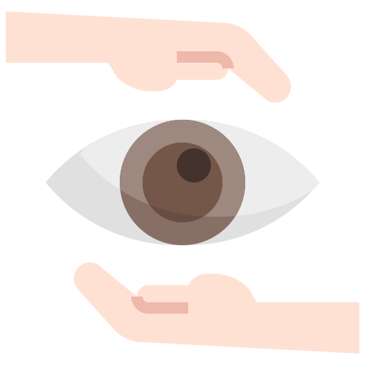 iridologie kostenlos Icon
