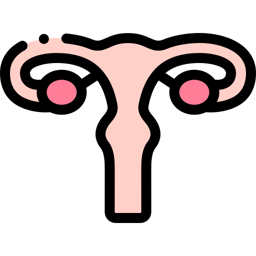 Uterus - Free medical icons