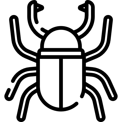 Beetle Special Lineal icon