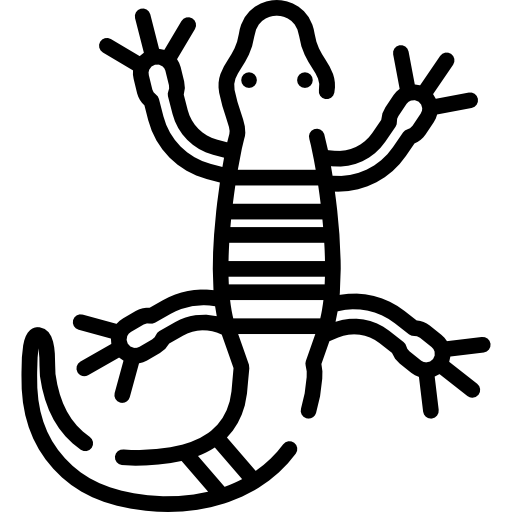 Lizard free icon