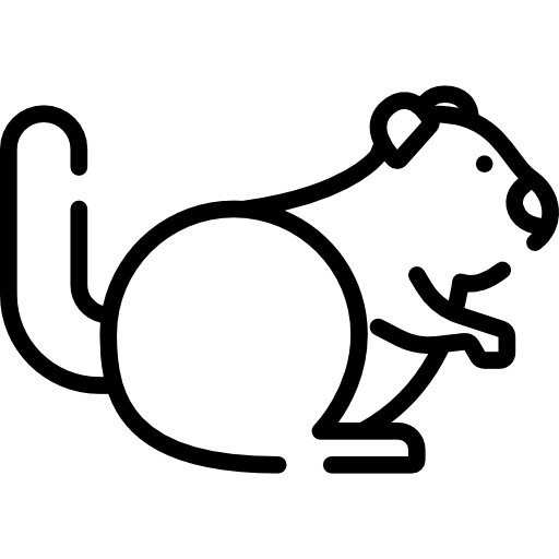 Squirrel - free icon