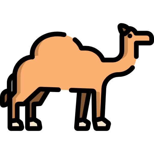 Camel Special Lineal color icon