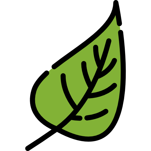 Leaf Special Lineal Color Icon