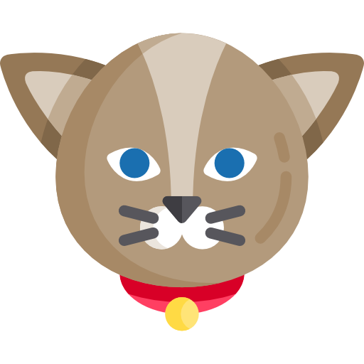 Cat Special Flat icon