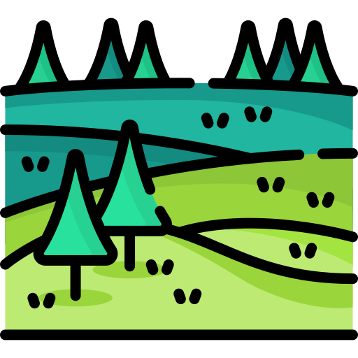 Grassland Special Lineal color icon