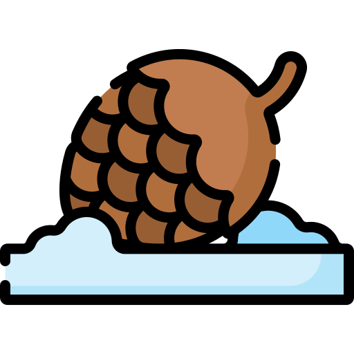 pomme de pin Icône gratuit pomme de pin Icône gratuit