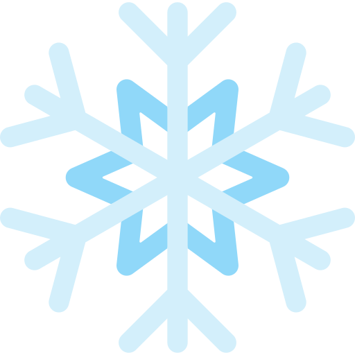 Snowflake Special Flat icon