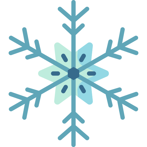 Snowflake Special Flat icon