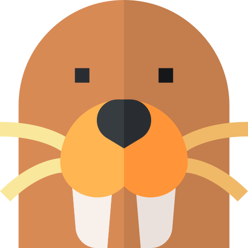 Walrus free icon Walrus free icon