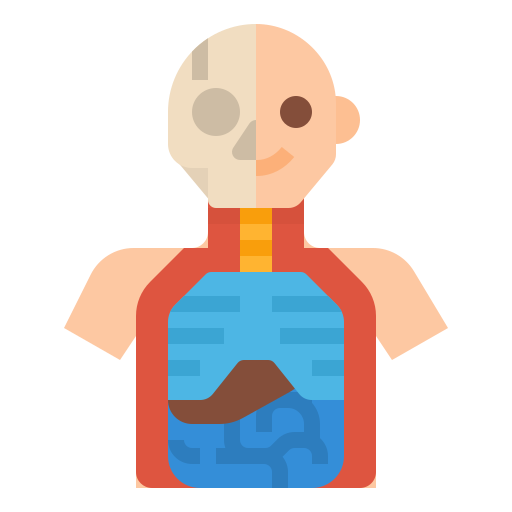 anatomía icono gratis